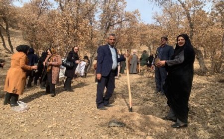 پویش نهالکاری ایران بانو در بویراحمد