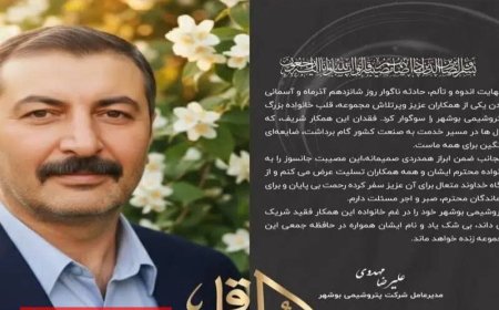 کارگر پتروشیمی بوشهر بر اثر سوختگی ناشی از آتش‌سوزی درگذشت