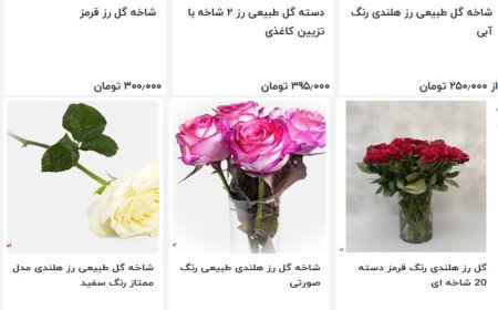 مادران در شوک قیمت‌ها: روز مادر با سبد گل ۳ میلیونی!