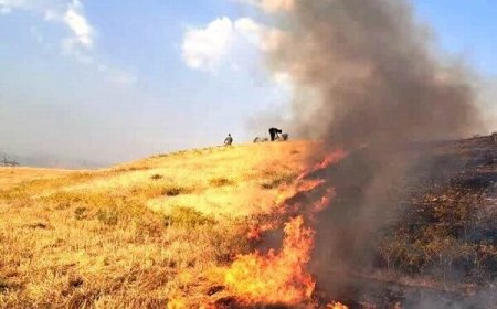 عامل آتش‌سوزی عمدی در منطقه حفاظت‌شده مله‌گاله شیراز شناسایی شد