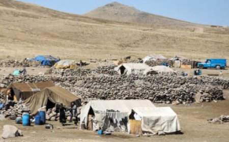 جاده‌های عشایری گچساران باز هستند؛توزیع ۱۴۰ تن جو در هفته آینده