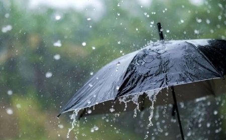 میانگین بارندگی در ایستگاه‌های منتخب فارس به 25.5 میلیمتر رسید