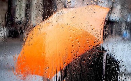 صدور هشدار نارنجی هواشناسی در بوشهر
