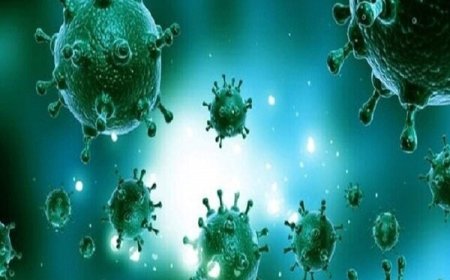 پنجمین فوتی آنفلوآنزا در هرمزگان ثبت شد