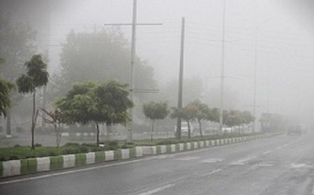 فیلم/مه صبحگاهی شهر دوگنبدان
