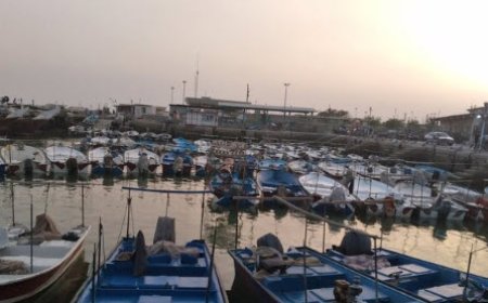 تردد همه شناورها در بندر گناوه ممنوع شد