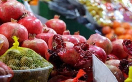طرح نظارتی ویژه شب یلدا در کهگیلویه آغاز شد
