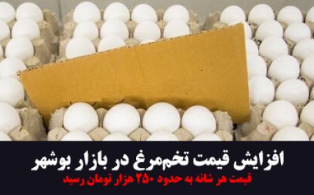 تخم‌مرغ در بوشهر به قله‌های جدید قیمت رسید!