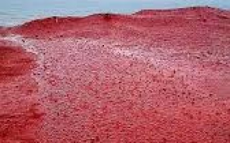 فیلم/تصاویر زیبا و دیدنی از بارندگی در ساحل سرخ جزیره‌ هرمز