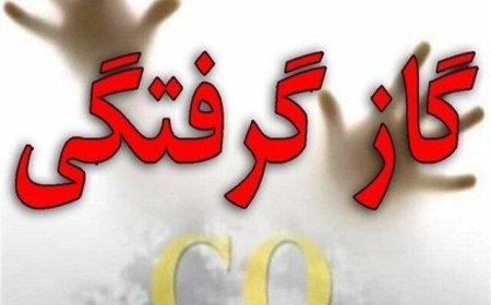 مسمومیت ۲۱ نفر با گاز منوکسید کربن طی ۲۴ ساعت گذشته در بویراحمد