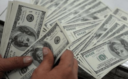 ۱۵ نفر با ۹۰۰ کارت اجاره‌ای، ۶ میلیارد دلار ارز را ناپدید کردند