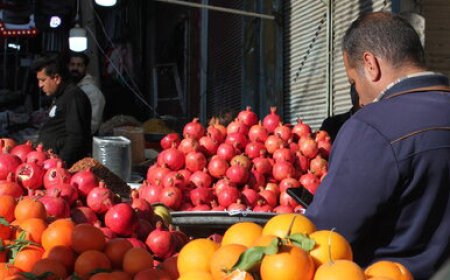 ۱۰۰ اکیپ نظارتی بازار یلدا را در فارس رصد می‌کنند