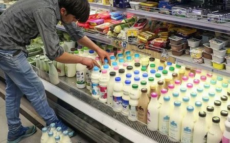 هشدار جدی تعزیرات فارس به تولیدکنندگان لبنیات