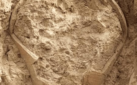 ماجرای کشف کوزه ساسانی پر از طلا در بوشهر