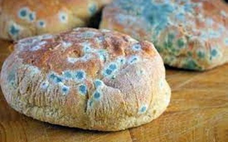 کشف محموله کیک تاریخ گذشته در اهواز