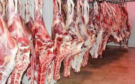 تعطیلی کشتارگاه‌های سنتی باعث گرانی گوشت نمی‌شود