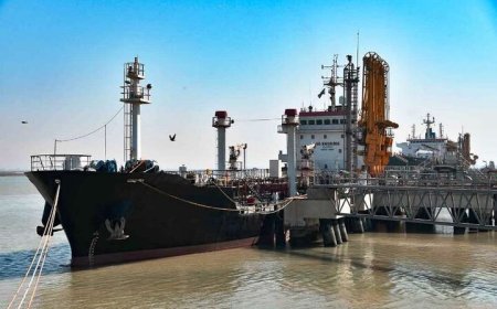 دستور قضایی برای ترخیص بیش از ۱۶ هزار تن کنجاله سویا در بندرامام