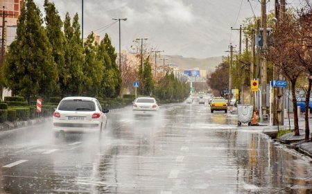 افزایش بارندگی در فارس به ۹۸ درصد رسید/ اردکان در صدر بارش‌ها