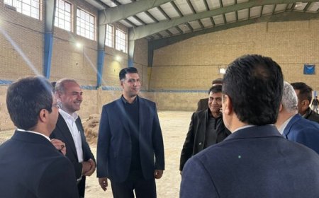 گام مهم برای هندبال فارس؛ واگذاری سالن اختصاصی به هیات استان