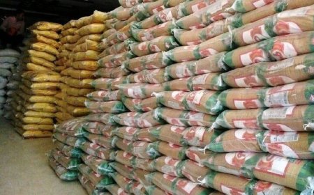 توزیع ۳۸ تن برنج طرح تنظیم بازار در گناوه
