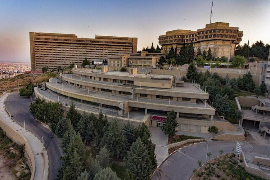 ۱۹ پژوهشگر دانشگاه شیراز در شمار پژوهشگران پراستناد یک‌درصد برتر دنیا