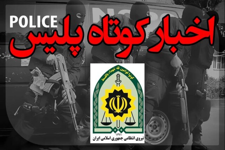 کشف داروهای غیرمجاز در فارس/ توقیف ۸۴۸ دستگاه وسایط نقلیه متخلف طی ۴۸ ساعت