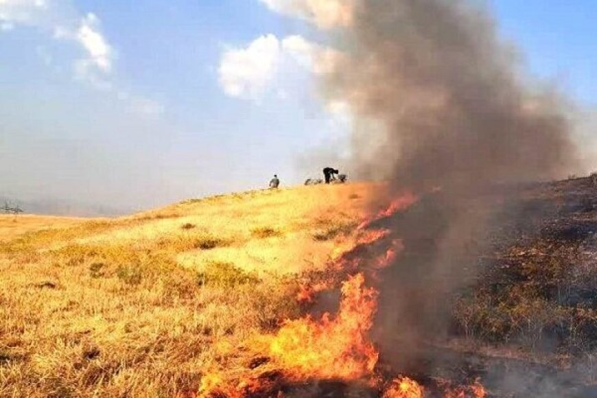 عامل آتش‌سوزی عمدی در منطقه حفاظت‌شده مله‌گاله شیراز شناسایی شد