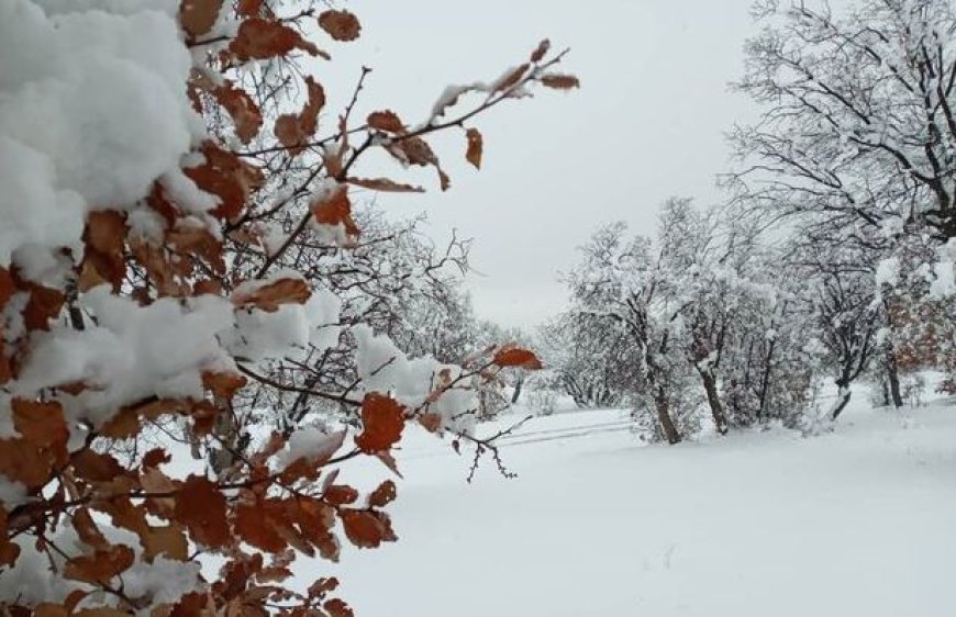 احتمال بارش برف و رعدوبرق در خوزستان