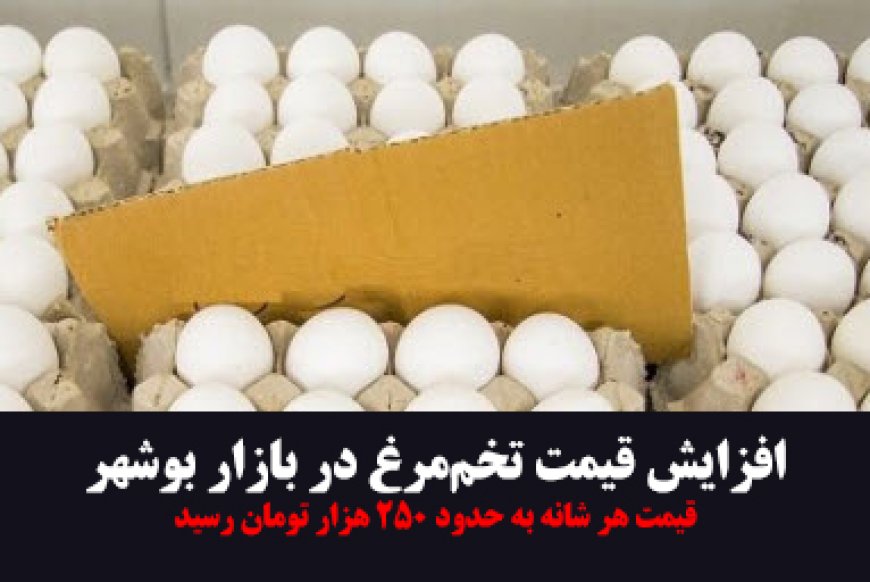 تخم‌مرغ در بوشهر به قله‌های جدید قیمت رسید!