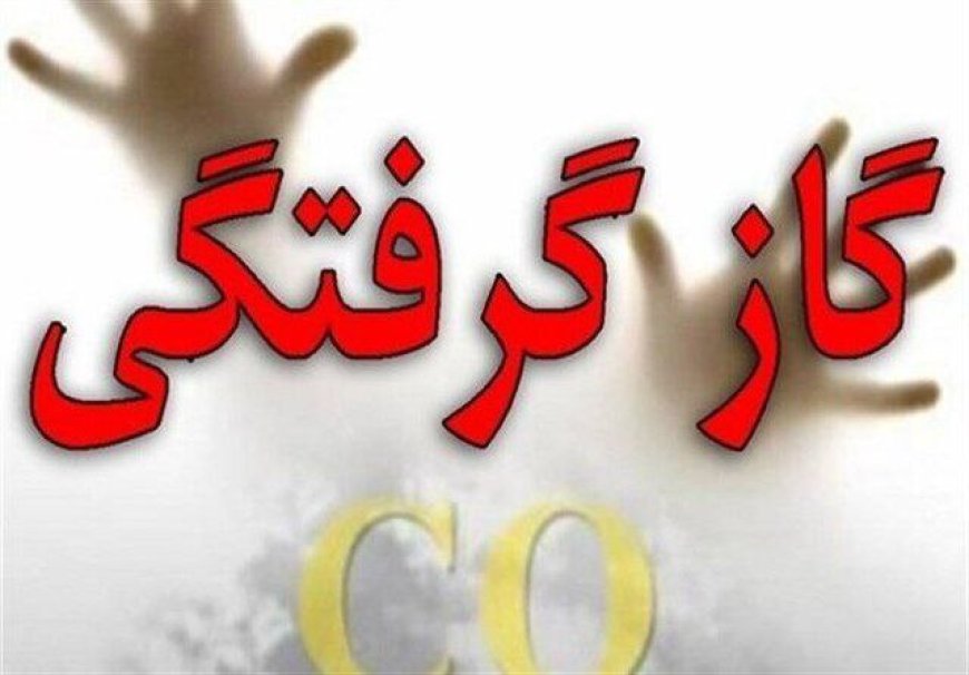 مسمومیت ۲۱ نفر با گاز منوکسید کربن طی ۲۴ ساعت گذشته در بویراحمد