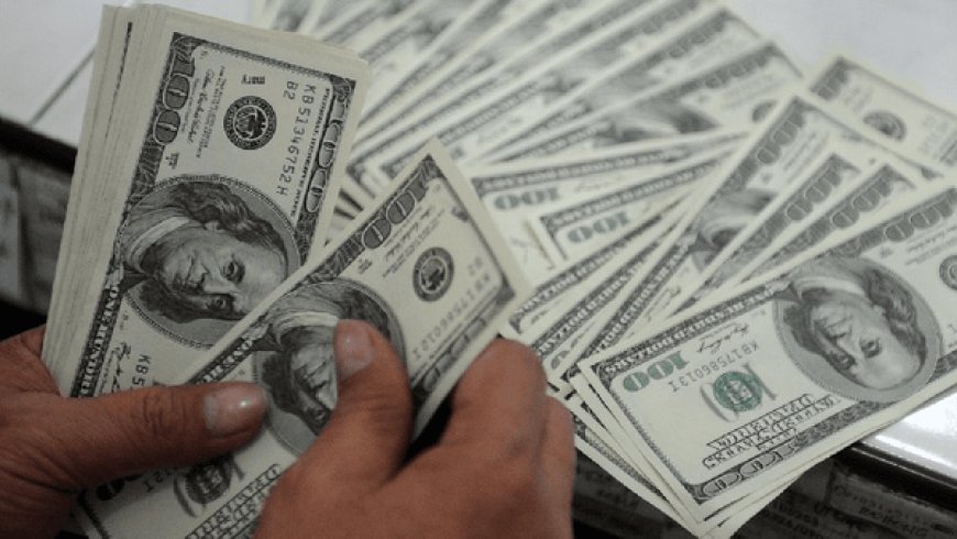 ۱۵ نفر با ۹۰۰ کارت اجاره‌ای، ۶ میلیارد دلار ارز را ناپدید کردند