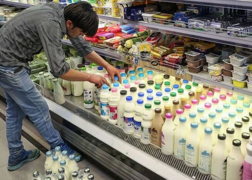 هشدار جدی تعزیرات فارس به تولیدکنندگان لبنیات