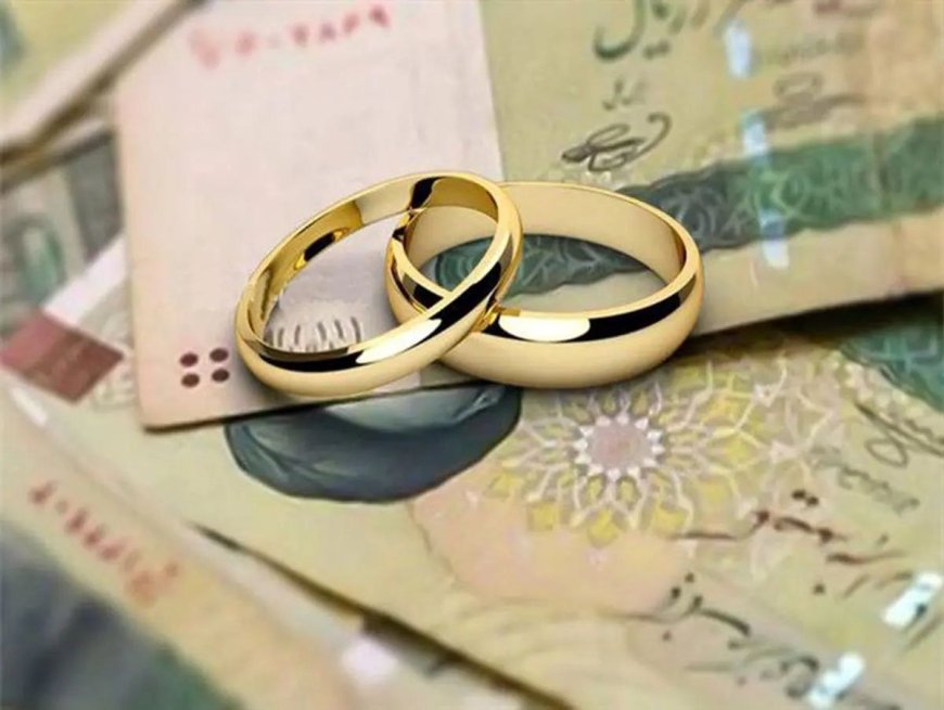 تاجگردون: وام‌ ازدواج و فرزندآوری در بودجه حذف نشده است