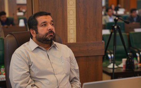 ثبت ملی درختان کهنسال شیراز برای توسعه گردشگری سبز