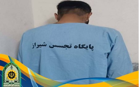 دستگیری سارق مشاعات ساختمانی با ۳۰ فقره سرقت در شیراز