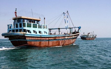 کشف و ضبط ادوات ممنوعه صید ترال در سواحل بوشهر