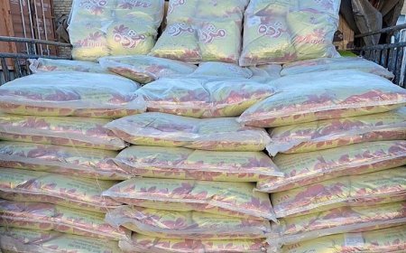 کشف ۸ تن برنج احتکارشده در یاسوج