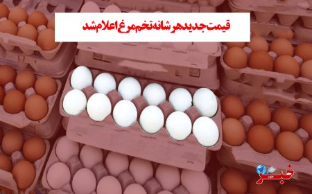 قیمت جدیدهر شانه تخم مرغ اعلام شد