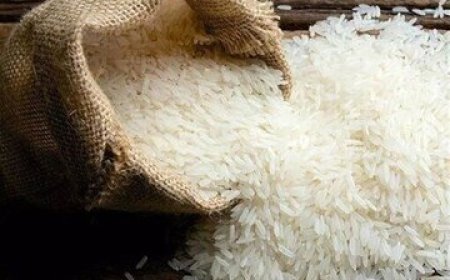 کاهش ۴۰ درصدی قیمت برنج در بازار امروز