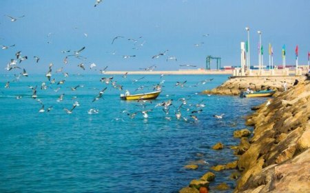 دریا آرام و شرایط برای فعالیت‌های دریایی در هرمزگان مساعد است