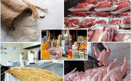 توزیع گسترده کالاهای اساسی در فارس
