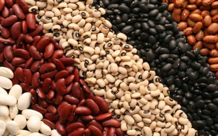 ۱۸۴ هزار تن کالاهای اساسی در هرمزگان ثبت سفارش شد