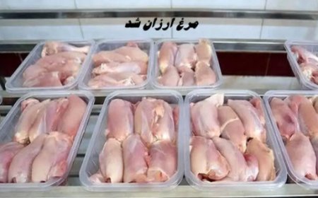 قیمت جدید مرغ اعلام شد