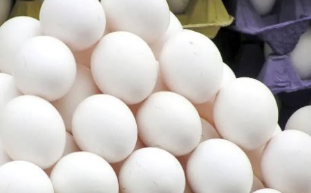 لطفا آدرس تخم مرغ شانه ای ۳۰۰ هزار تومان را به ما هم بدهید!