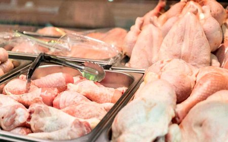 قیمت مرغ اعلام شد؛ گران‌تر نخرید
