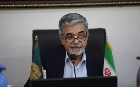عضو هیات علمی دانشگاه شیراز: مقابل تجزیه اجتماعی کشور بایستیم