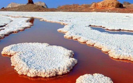 رویداد ملی ایران جان، هرمزگان ایران؛ از ۴ تا ۱۰ بهمن