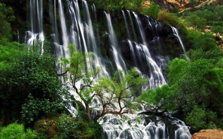 راه را برای عروس خاورمیانه هموار کنید