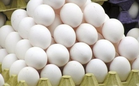 محموله تخم مرغ قاچاق در مرز شلمچه کشف شد