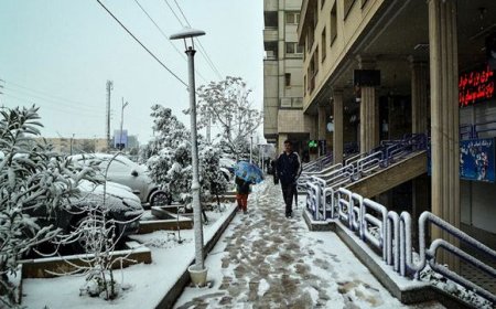 شیراز برفی شد
